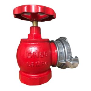 Van góc chữa cháy DN50